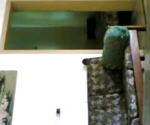 দ্বিগুণ বাংলাচুদাচুদি