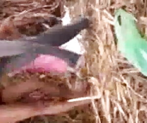 Insieme85-ডাবল বাংলা বাংলাচুদাচুদি