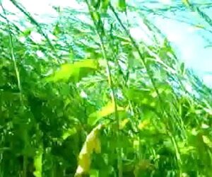 বাস্তবতা বাংলাচুদাচুদি hd বাড়ীতে তৈরি